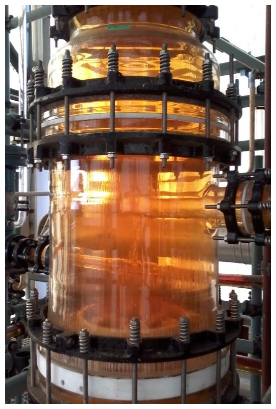 Nitric acid concentration Plant. Detail of borosilicate glass rectification column.